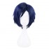 My Hero Academia Iida Tenya Blue Cosplay Wig 
