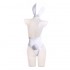 Anime Date A Live Date A Bullet White Queen Bunnysuit Cosplay Costumes