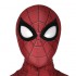 Spider-Man 3 No Way Home Peter Parker Jumpsuit Cosplay Costumes with Headgear