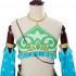 The Legend of Zelda Breath of the Wild Gerudo Link Halloween Cosplay Costume