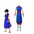 Anime Dragon Ball Chichi Cosplay Costume