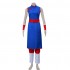 Anime Dragon Ball Chichi Cosplay Costume