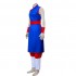 Anime Dragon Ball Chichi Cosplay Costume