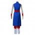 Anime Dragon Ball Chichi Cosplay Costume