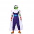 Anime Dragon Ball Piccolo Cosplay Costume