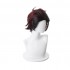 Anime Demon Slayer Kimetsu no Yaiba Tanjirou Kamado Short Wine Red Men Cosplay Wigs