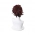 Anime Demon Slayer Kimetsu no Yaiba Tanjirou Kamado Short Wine Red Men Cosplay Wigs