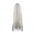 Anime Kakegurui Ririka Momobami 80cm Long Grey Straight Cosplay Wigs