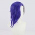 Anime One Piece Page One Cosplay Wigs