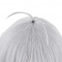 Princess Connect! Re:Dive Kokoro Natsume Silver Gray Short Synthetic Cosplay Wig