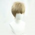 Anime Attack on Titan Last Season Falco Grice Cosplay Wigs