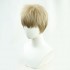 Anime Attack on Titan Last Season Falco Grice Cosplay Wigs