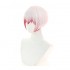 Anime Bungo Stray Dogs Saigiku Jono Cosplay Wigs