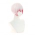 Anime Bungo Stray Dogs Saigiku Jono Cosplay Wigs