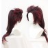 Anime Demon Slayer Kimetsu no Yaiba Tanjirou Kamado Long Ponytail Cosplay Wigs