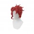 Anime JoJo's Bizarre Adventure Stardust Crusaders Kakyoin Noriaki Short Wine Red Cosplay Wigs