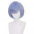 Re: Zero Starting Life in Another World Rem Cosplay Wig