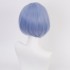 Re: Zero Starting Life in Another World Rem Cosplay Wig