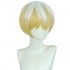 Anime Mato Seihei no Slave Tenka Izumo Cosplay Wig