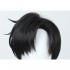 Anime Sailor Moon Mamoru Chiba Cosplay Wig