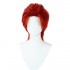 Anime One Piece Red-Haired Shanks Red Cosplay Wigs