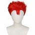 Anime Slam Dunk Hanamichi Sakuragi Cosplay Wig