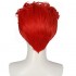 Anime Slam Dunk Hanamichi Sakuragi Cosplay Wig