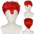 Anime Slam Dunk Hanamichi Sakuragi Cosplay Wig