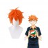 Anime Haikyuu Hinata Shoyo Short Orange Cosplay Wigs