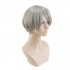 Anime Haikyuu Sugawara Koushi Short Gray Cosplay Wigs