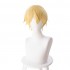 Anime Sword Art Online Alicization Under World Eugeo Short Blond Cosplay Wigs