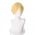 Anime Sword Art Online Alicization Under World Eugeo Short Blond Cosplay Wigs