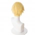 Anime Sword Art Online Alicization Under World Eugeo Short Blond Cosplay Wigs