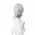 FGO Fate/Grand Order Lang Lin Wang 30cm Short Silver Grey Halloween Cosplay Wigs