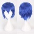 Classic Short 30cm Man Fashion Various Color White Black Gray Brown Pink Red Pruple Blonde Anime Cosplay Wigs