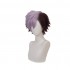 Anime TBHK Toilet-bound Hanako-kun Tsuchigomori Short Brown and Purple Cosplay Wigs