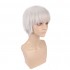 Anime Tokyo Ghoul Haise Sasaki 35cm White Cosplay Wigs