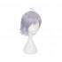 Game Twisted-Wonderland Silver Cosplay Wigs