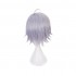 Game Twisted-Wonderland Silver Cosplay Wigs