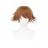 Anime Danganronpa: Trigger Happy Havoc Chihiro Fujisaki Short Brown Cosplay Wigs