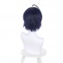 Anime Osananajimi ga Zettai ni Makenai Love Comedy Maru Sueharu Blue Purple Short Cosplay Wig