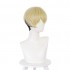 Anime Tokyo Revengers Chifuyu Matsuno Light Gold Gradient Black Short Cosplay Wigs