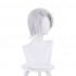 Anime The Case Study of Vanitas Noé Archiviste Silver White Cosplay Wigs