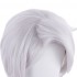 Anime The Case Study of Vanitas Noé Archiviste Silver White Cosplay Wigs