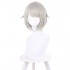 Anime Shikkaku Mon no Saikyou Kenja Arma Lepsius Grey Long Cosplay Wigs