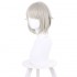 Anime Shikkaku Mon no Saikyou Kenja Arma Lepsius Grey Long Cosplay Wigs