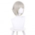 Anime Shikkaku Mon no Saikyou Kenja Arma Lepsius Grey Long Cosplay Wigs