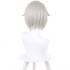 Anime Shikkaku Mon no Saikyou Kenja Arma Lepsius Grey Long Cosplay Wigs