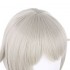 Anime Shikkaku Mon no Saikyou Kenja Arma Lepsius Grey Long Cosplay Wigs