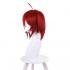 Anime Shikkaku Mon no Saikyou Kenja Iris Red Wine Cosplay Wigs